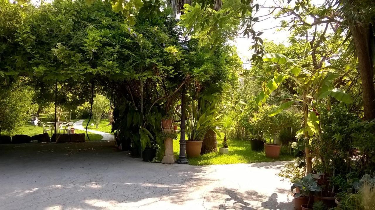 Baha-Ammes Lägenhet Svoronata Exteriör bild